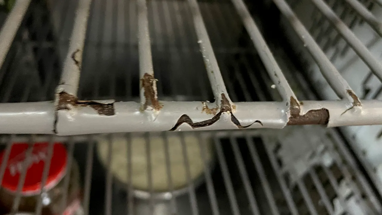 Deficienţe grave la un restaurant din Costineşti: gândaci, mizerie şi produse expirate
