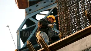 Rata de ocupare a populaţiei în vârstă de muncă, doar 64,8% în trimestrul II