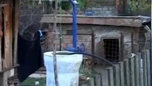 S-a sinucis lăsând un bilet părinţilor în care indica locul unde va fi găsit - VIDEO