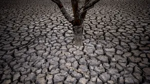 Australia înregistrează cea mai secetoasă lună octombrie din 2002 încoace din cauza lui El Nino