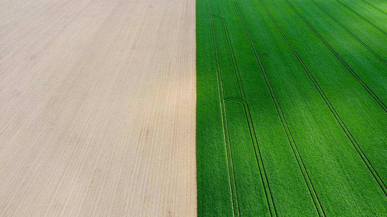 COMENTARIU Marius Oprea | Fermierul belgian şi istoria: de ce nu mutăm graniţe cu tractorul
