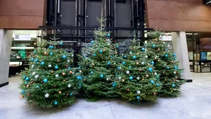 Povestea primului pom de Crăciun şi tradiţia împodobirii bradului în România