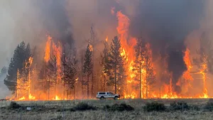 GALERIE FOTO Imaginile dezastrului din California, surprinse de fotografi. Incendiile de vegetaţie au făcut prăpăd
