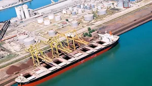 Bursă. Companiile de la BVB cu activitate pe Dunăre şi la Marea Neagră, unii dintre performerii