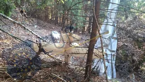 Resturile unei drone, descoperite într-o zonă împădurită din Argeș