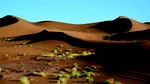 Marele Zid african. 11 țări construiesc o barieră de 8.000 de km pentru a salva terenurile fertile