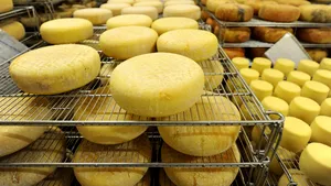 CE: Caşcavalul de Săveni, produs cu indicaţie geografică protejată în UE