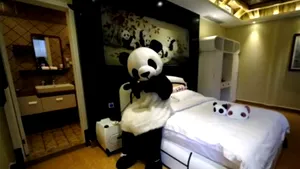 Primul hotel din lume care are ca tematică ursul panda a fost inaugurat în China - VIDEO 