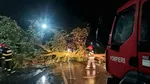 Cod portocaliu în Teleorman: Gospodării fără curent, copaci căzuți și stâlpi avariați