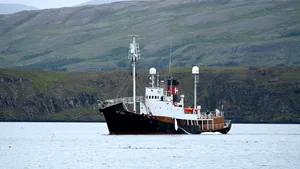 Islanda pregătește interzicerea vânătorii de balene. Doar Norvegia și Japonia ar mai continua vânătoarea comercială