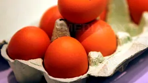 Alimentele, de două ori mai scumpe în unele judeţe. Vezi care sunt cele mai ieftine pieţe din ţară