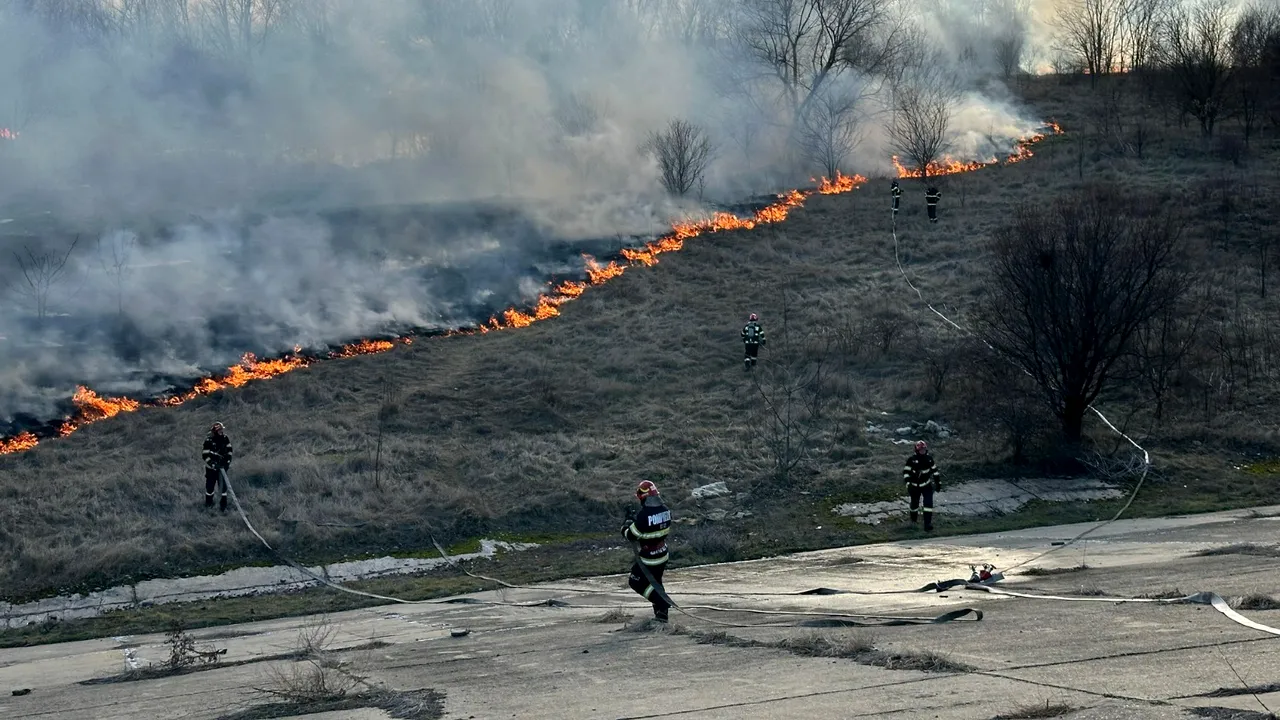 Primăria Capitalei, după incendiul din Parcul Natural Văcăreşti: Înţelegem şi regretăm profund