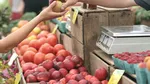 O industrie invizibilă susține alimentația globală. Ce arată un studiu realizat în 64 de țări