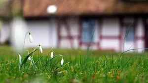 Primăvară în toată regula. Estimările ANM pentru următoarele două săptămâni