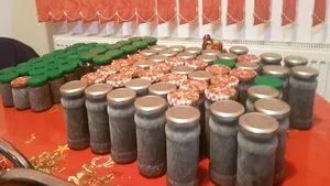 Percheziţii în judeţul Constanţa. Un sturion uriaş şi 40 de kilograme de caviar, confiscate de la braconieri 