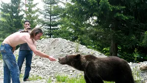 Ministerul Mediului propune dublarea sau triplarea amenzilor pentru cei care hrănesc urşi