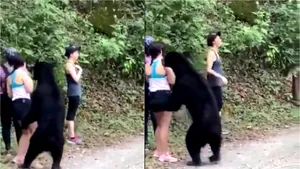 Cum au reacţionat două tinere când un urs le-a ieşit în cale. Animalul s-a ridicat în două labe şi a venit spre ele
