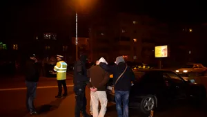 30 de români exploataţi pe o plantaţie din Germania. Traficanţii au fost arestaţi preventiv