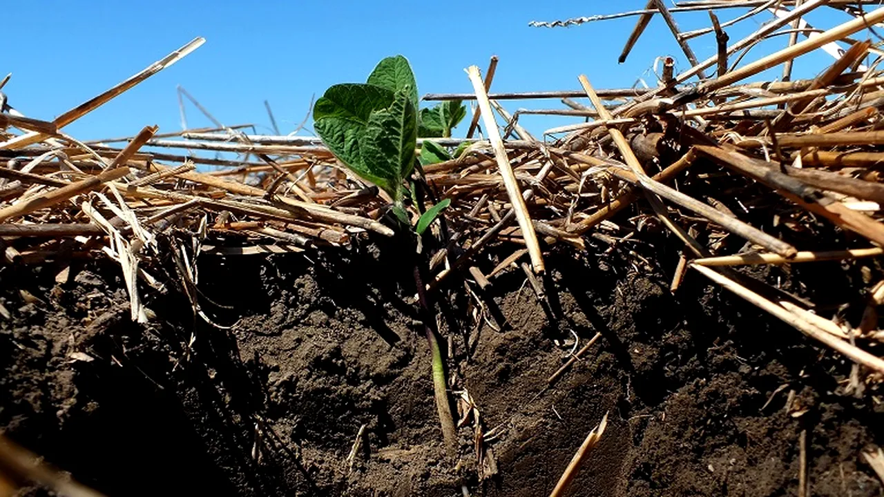 Soluţiile agricole stimulează eforturile de reducere a emisiilor de gaze cu efect de seră