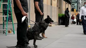Poliţia dresează câini pentru depistarea Covid-19. Ţara care a recurs la această metodă 