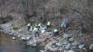 2,5 tone de sticle de plastic adunate pe Valea Galda. Echivalentul a cinci camioane
