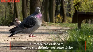 Prognoza meteo. Urmează zile ca de vară, dar nu uita de îndemnul autorităţilor