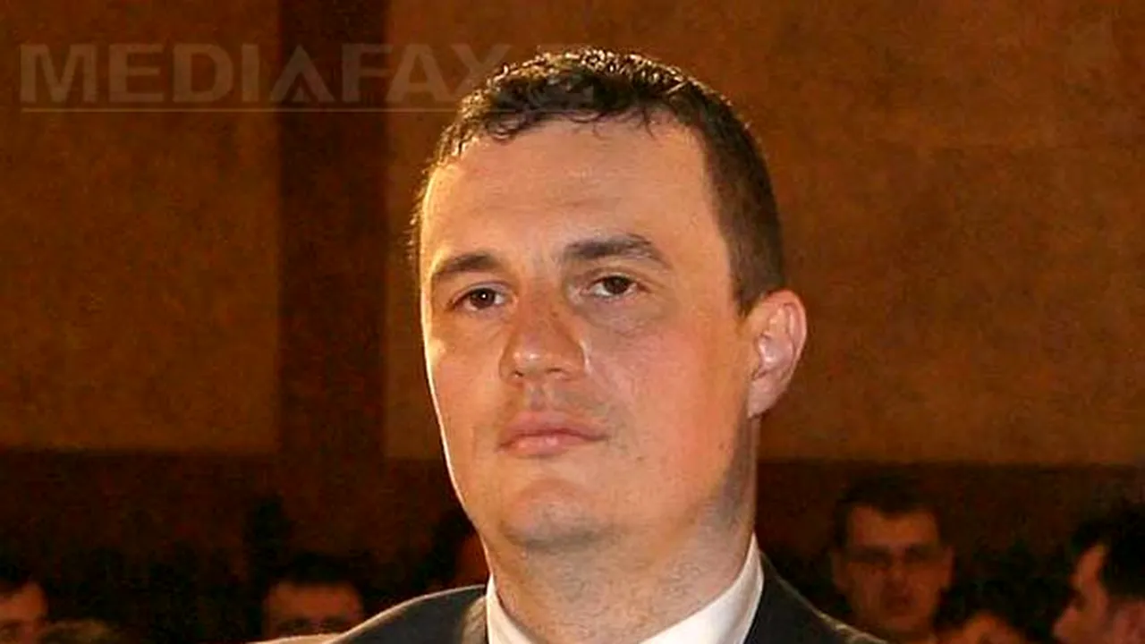 Comisie: Am considerat oportun ca anumite regii şi companii naţionale să nu mai facă licitaţii