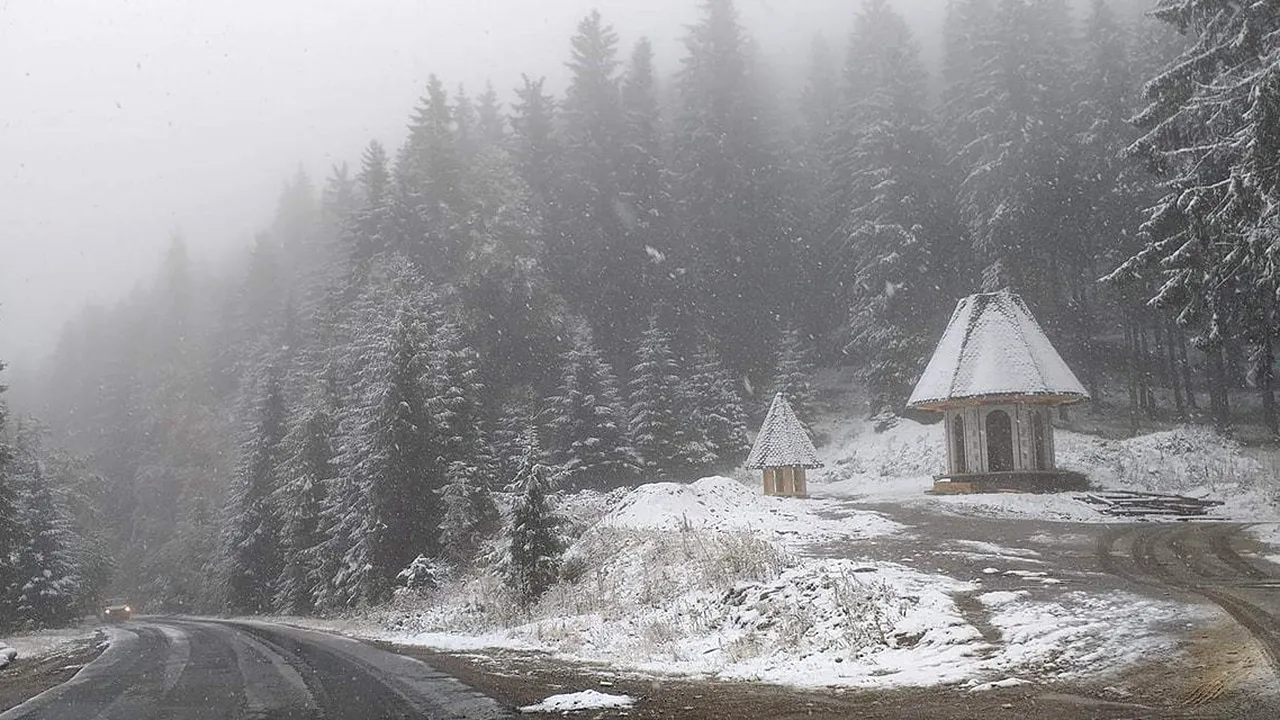 Prima ninsoare din această toamnă în Suceava: S-a aşternut un strat subţire de zăpadă, iar omătul s-a depus şi pe copaci | FOTO, VIDEO