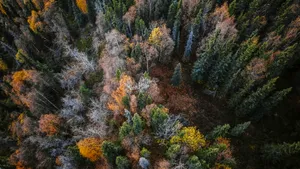 Vacanțe dincolo de traseele clasice. De la Alaska la Țara de Foc. Eturia lansează o nouă linie de circuite adventure, în parteneriat cu exploratorul Radu Păltineanu