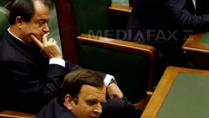 Blaga şi Flutur, mandataţi de BPN al PDL să coordoneze pregătirea pentru alegerile locale din 2012