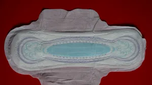 Proiect: Absorbante gratuite în şcoli pentru fete / Tichete lunare pentru produse de igienă menstruală