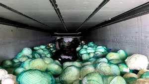 Giurgiu: 28 de sirieni găsiţi ascunşi într-un camion încărcat cu varză
