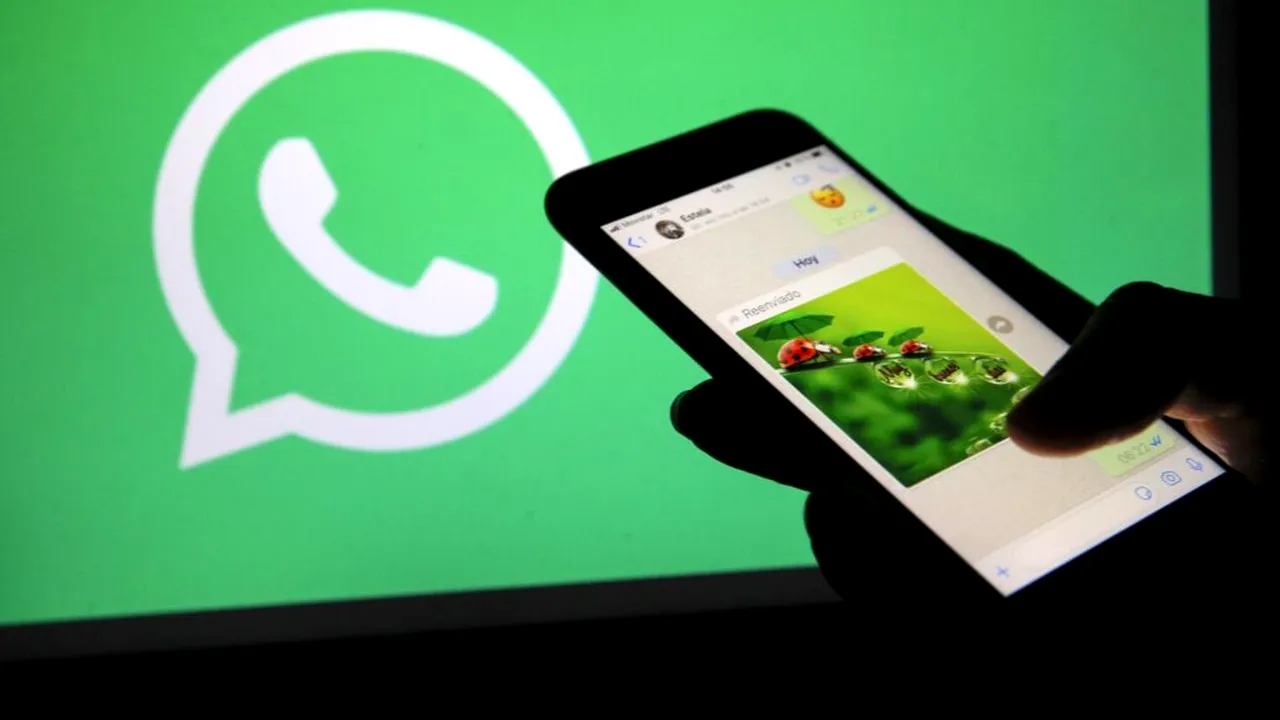 O breșă de securitate a WhatsApp a expus datele a 3,5 miliarde de utilizatori