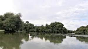 Reducere de 50% la impozitul pe proprietate în Delta Dunării și Munții Apuseni. Guvernul a clarificat condițiile de aplicare / Amânare pentru RO e-Factura
