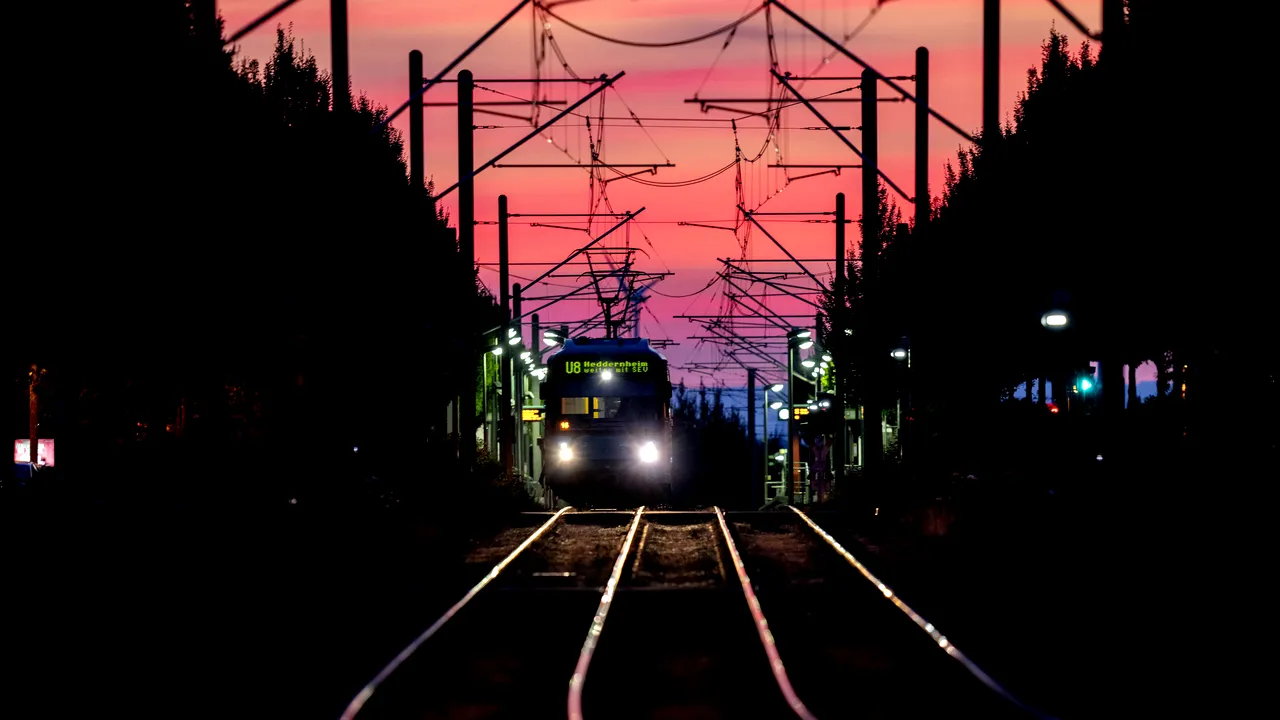 Operatorul feroviar francez, amendă după ce un tren a ucis o pisică 