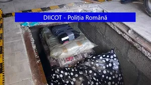 De la Galilei şi Newton la Luchian şi Ressu, mai multe opere de artă au fost furate. Unde au fost descoperite de poliţişti