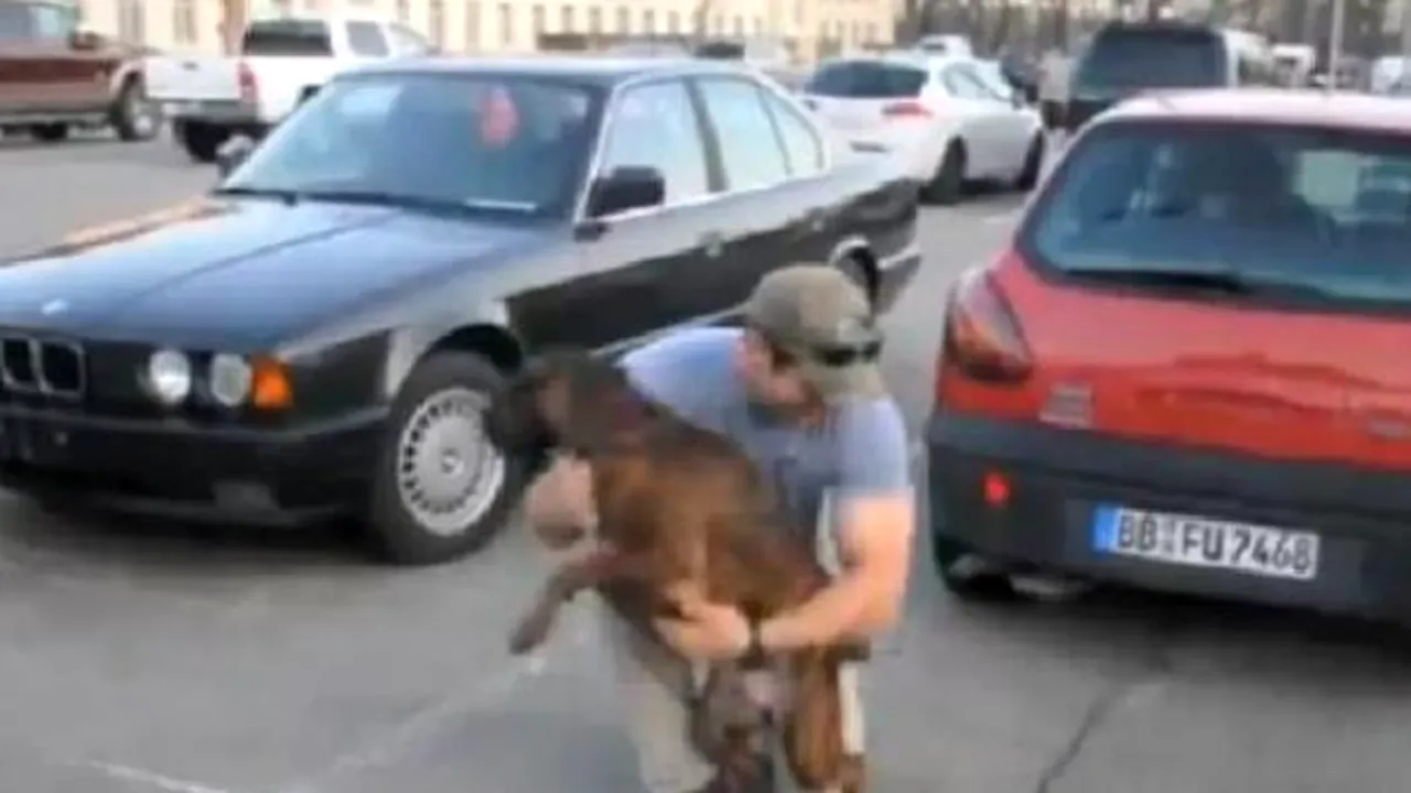 MOMENT AMUZANT: Cum REACŢIONEAZĂ un câine când stăpânul său se întoarce acasă. Clipul care A ADUNAT peste 1.800.000 de accesări - VIDEO