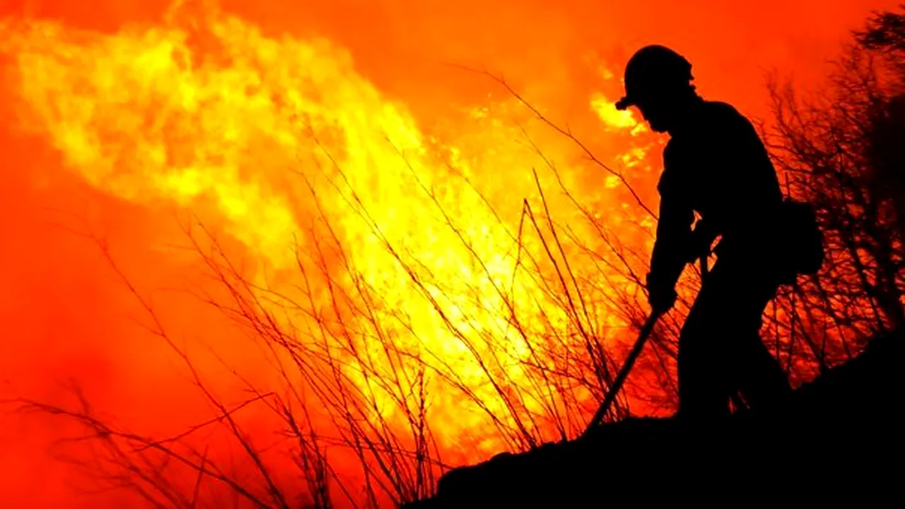 Un incendiu a devastat 400 de hectare de vegetaţie în sudul Franţei