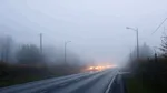 INFOTRAFIC: Ceață densă pe drumurile din Botoșani, Iași și Neamț cu vizibilitate sub 200 metri
