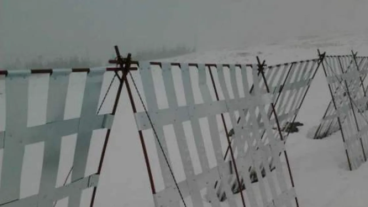 Furt de parazăpezi de pe marginea DN 2