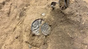 Monede vikinge vechi de 1.000 de ani, descoperite de o tânără care detecta metale într-un lan de porumb danez