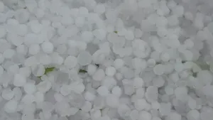 Culturi agricole şi acoperişuri distruse de grindină, în judeţul Olt