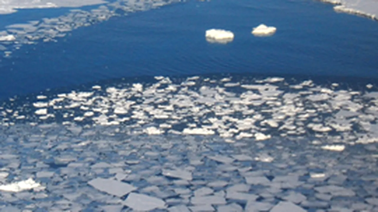 Schimbare climatică ne ajunge din urmă. 200 de milioane de oameni vor fi nevoiţi să migreze până în 2050