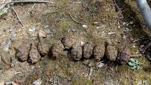 12 grenade din Primul Război Mondial, descoperite de un bărbat cu ajutorul unui detector de metale în Vrancea | FOTO