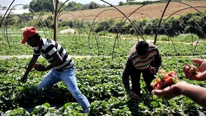 Grecia: Imigranţi, răniţi prin împuşcare pentru că îşi cereau salariul - FOTO