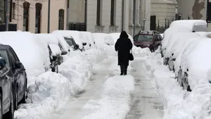 ANM: viscol, polei și până la 15 cm de zăpadă la București în următoarele 48 de ore