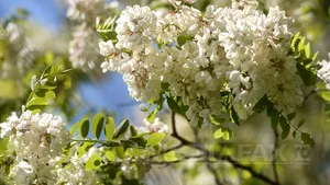 Cum va fi VREMEA în această vară. Prognoza meteo şi HARTA meteorologilor până în luna august