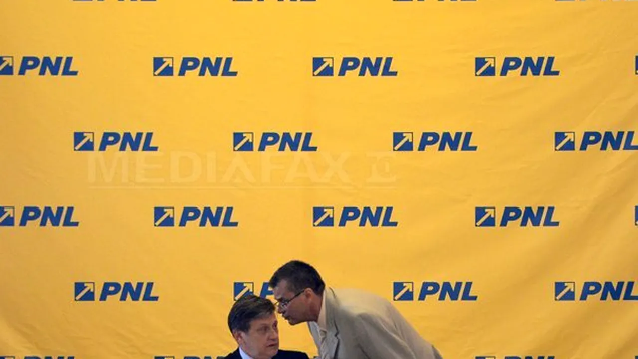 ANALIZĂ: Liberalii se luptă cu PSD şi cer front comun împotriva ANI şi DNA