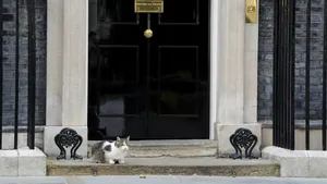 Mai rezistent decât premierii britanici. Larry, motanul de la Downing Street, bifează încă un mandat