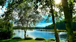 Vești surprinzătoare pentru biodiversitatea globală. Omenirea este mai aproape de un obiectiv major